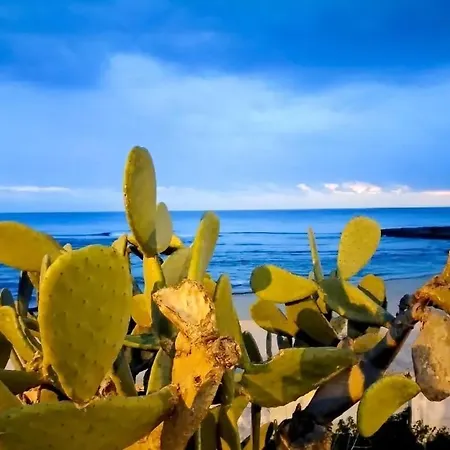 Holiday home Casetta Di Paese *